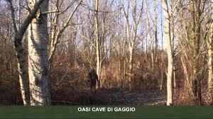 Oasis Cave di Gaggio North